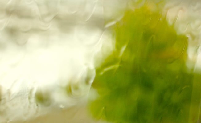 20130902_KristenStrong_window