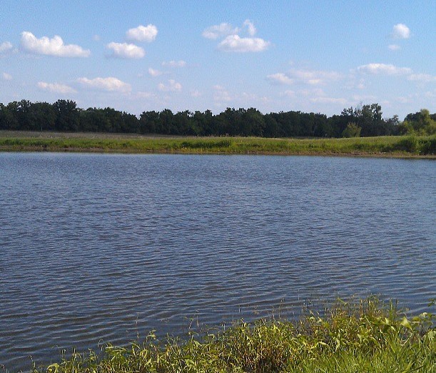 the farm in august