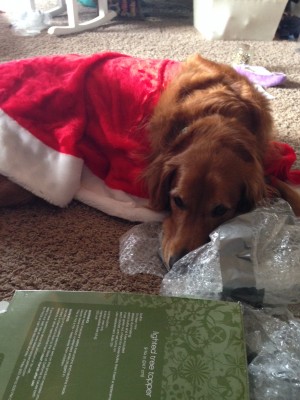 angie christmas 2