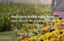 20140708_ShannanMartin_Summercornfield