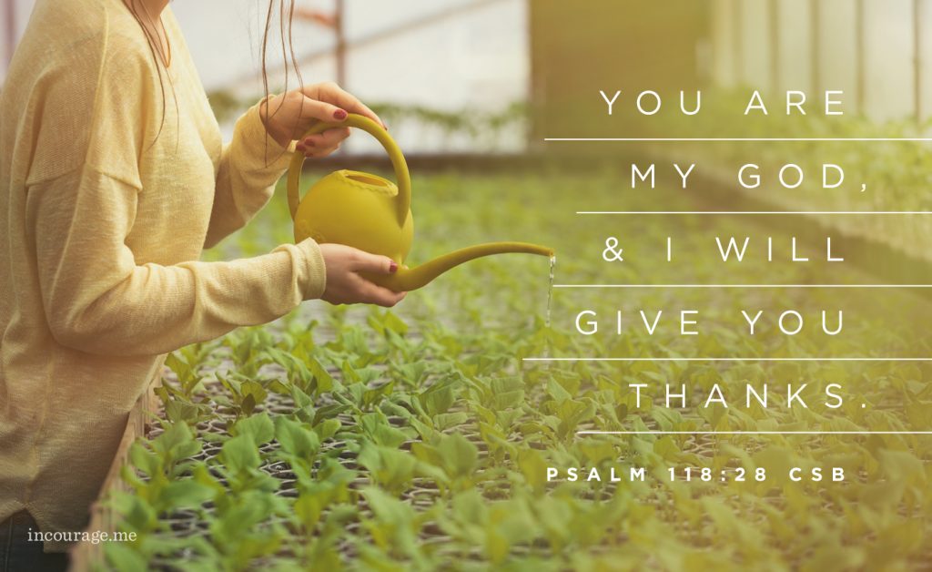 Sunday Scripture (in)courage