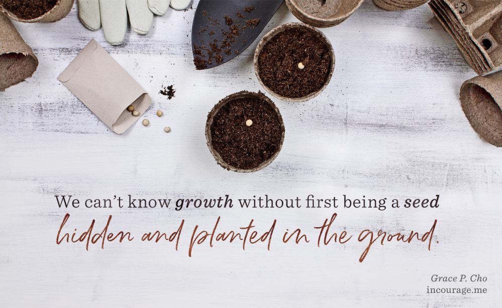 Plants Grow in the Dark (in)courage